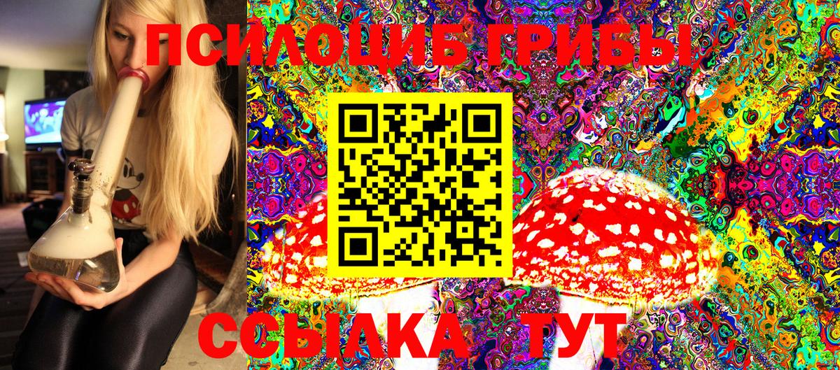 Галлюциногенные грибы Psilocybine cubensis  Галлюциногенные грибы Psilocybine cubensis  Вход с VPN  Алатырь 